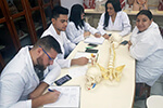 Aula prática de Anatomia